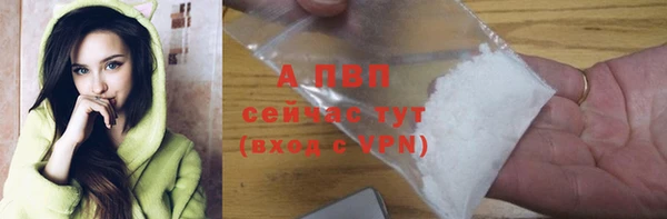 индика Ханты-Мансийск