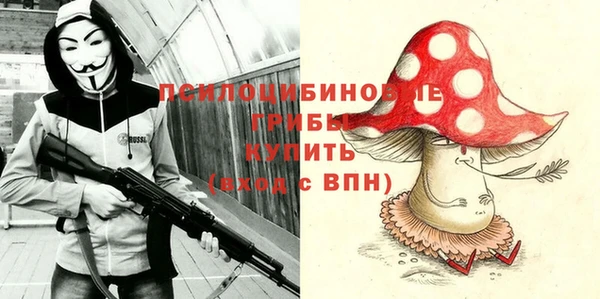 индика Ханты-Мансийск